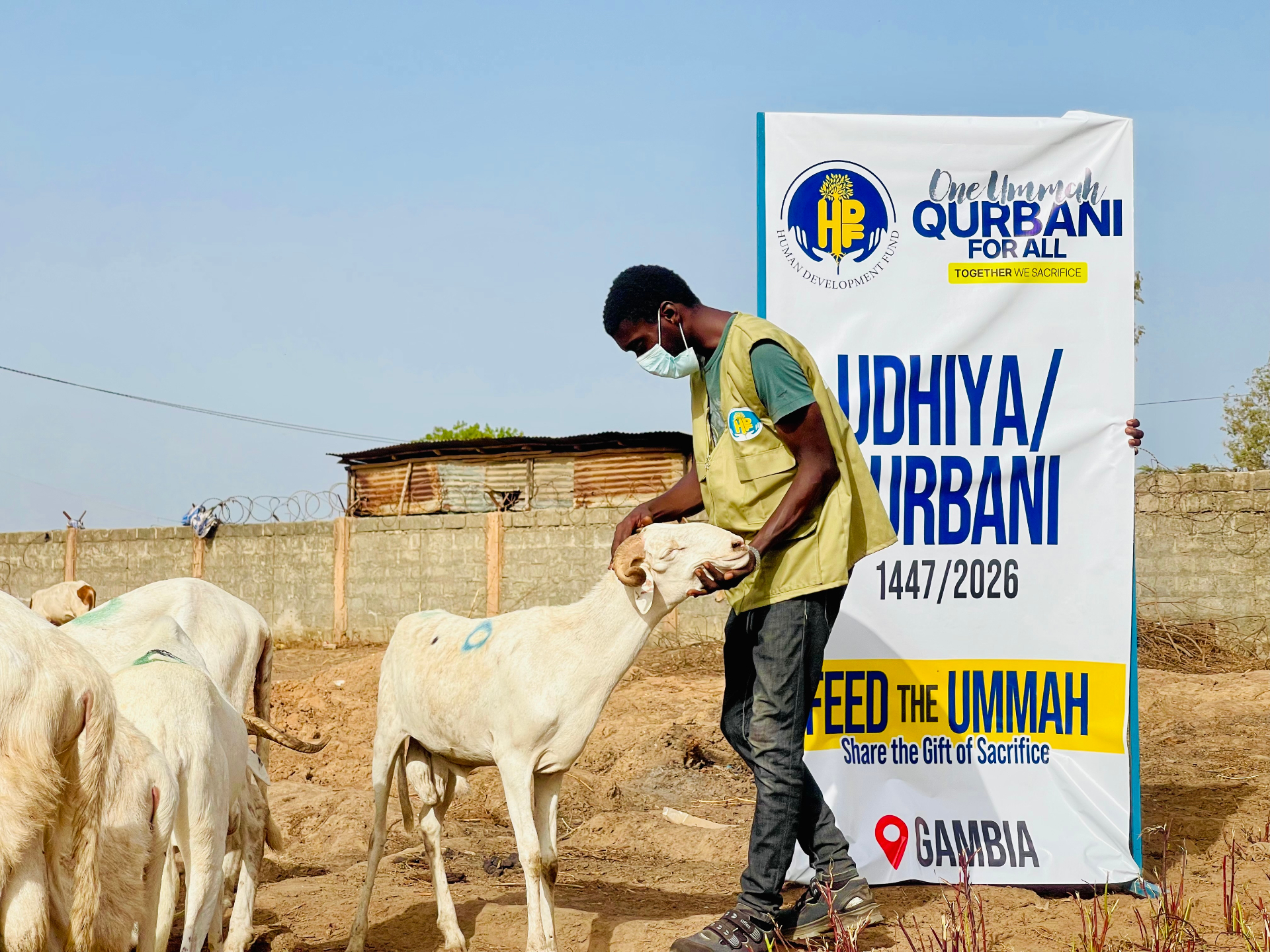 An HDF team member standing with a ram beside a 'One Ummah Qurbani For All' banner in Gambia.